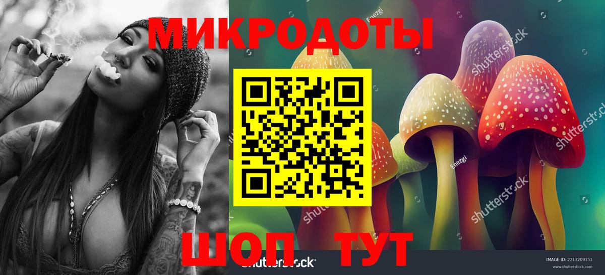 Камень-на-Оби  Псилоцибиновые грибы Psilocybine cubensis  Галлюциногенные грибы GOLDEN TEACHER  Вход с VPN 